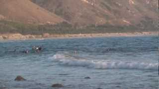 preview picture of video 'Surfing Rincon Point - 19 FEB 12'