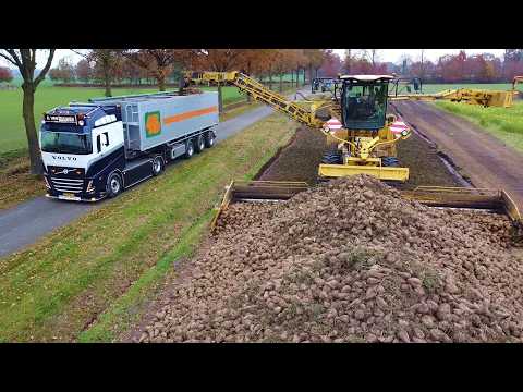 2025 Ropa Maus loading sugar beets