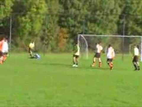 Samenvatting Maarssen 3- VIOD 3