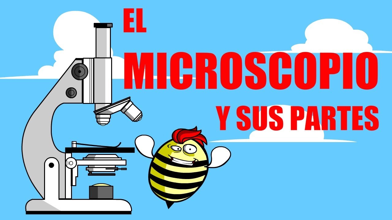 🔬El MICROSCOPIO 🔬 SUS PARTES Y FUNCIONES 🔬