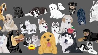  Msica Relaxante para Cachorro