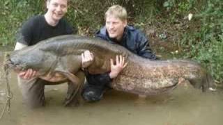 Bigger Fish To Fry, By Brad Paisley