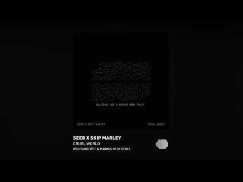 Seeb x Skip Marley - Cruel World (Wolfgang Wee & Markus Neby remix) #Audiovideo