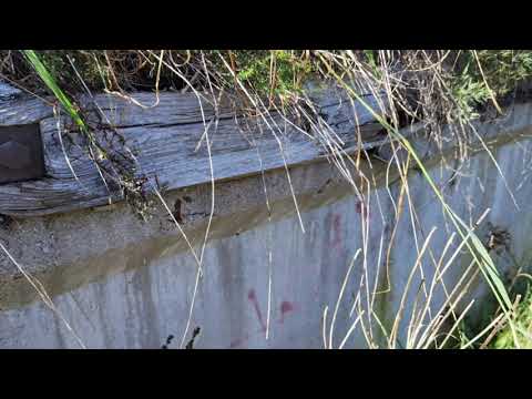 TORSKORS gamla stationsområde - oktober 2021 - KARLSKRONA - Blekinge (Huawei P40 Pro)