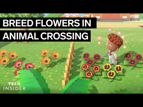 如何在《動物世界》的新視野中培育花朵 (How To Breed Flowers In Animal Crossing New Horizons)