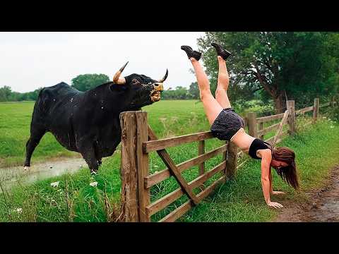 Best Fails of November  2025 😂 Try Not to Laugh Challenge