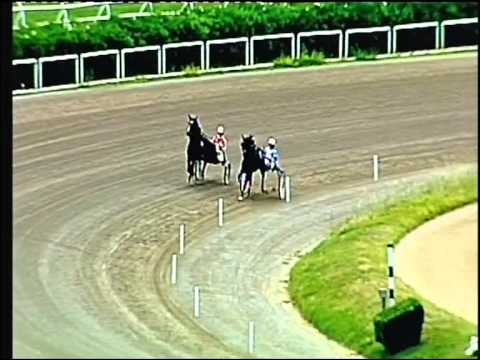 trotto 28/05/2015 - 2° prova di qualifica