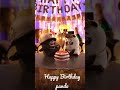Happy Birthday Panda Cute Panda Funny Panda Funny Video Cartoon Panda Dance Bamboo Panda