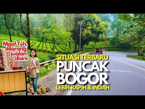 Jalan Puncak Bogor Terbaru  |  Lebih Rapih dan Indah