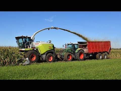 Claas Jaguar 950-type 498 - Claeys Agri - mais hakselen