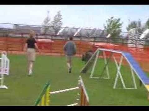 Jr Novice St Title leg 1st place