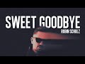 Robin Schulz - Sweet Goodbye (Official Audio)