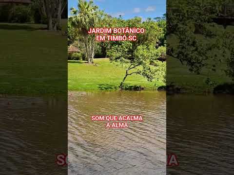 Visite a cidade de Timbó - SC #santacatarina #timbó #viagem #brasil