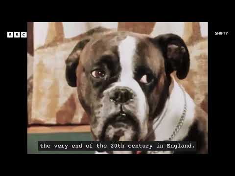 Ari Aster on Adam Curtis and 'SHIFTY' (2025)