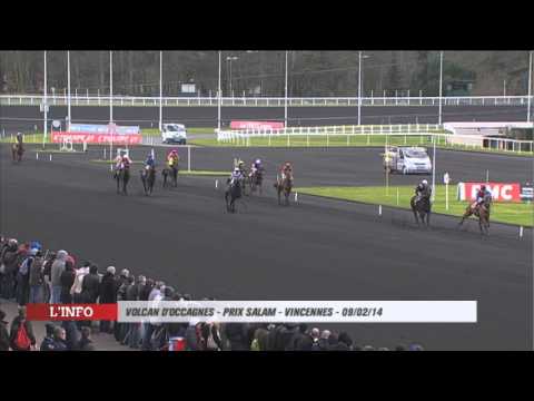 Volcan d'Occagnes - Prix Salam - Vincennes - 09/02/14