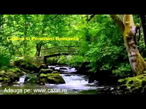 Cazare Vulturesti, Vaslui - Cazat.ro