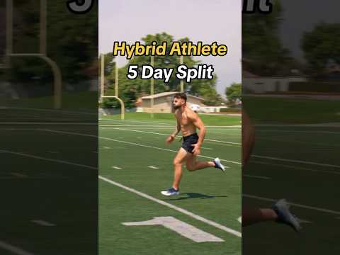 5 Day Hybrid Athlete Split