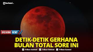Download lagu 🔴Gerhana Bulan Total 3 Maret 2026 di Seluruh Indonesia Sore Tadi,Detik-detik Gerhana Terjadi (Relay) mp3 Download lagu 🔴Gerhana Bulan Total 3 Maret 2026 di Seluruh Indonesia Sore Tadi,Detik-detik Gerhana Terjadi (Relay) mp3