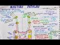 Auditory Pathway Easy Physiology Primary Lemniscal Pathway
