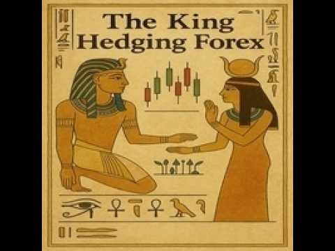 Video The king Hedging Forex 2R Mt5