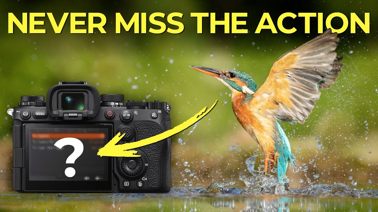 Sony Pre-Capture: Never Miss the Shot Again