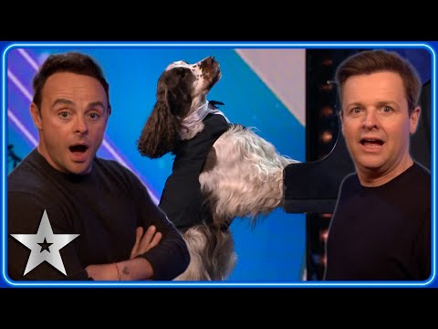 A DOG PLAYING PIANO!? Olga & Bonnie make a TRIUMPHANT return | Auditions | BGT 2023