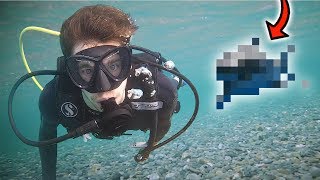 CAN'T BELIEVE I SAW THIS... *Endangered Species* (scuba diving)