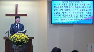 스가랴 강해 #18 (슥9:1-10) “보라 네 왕이 네게 임하나니”