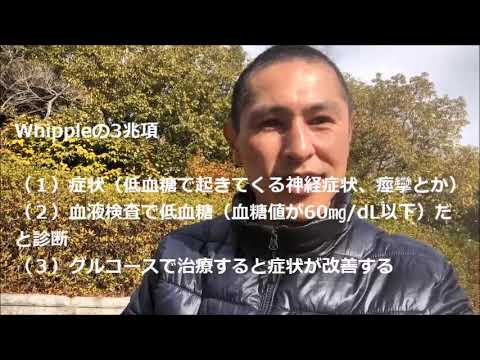 犬のインスリノーマ - 症状、原因、治療