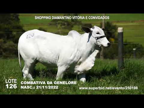 COMBATIVA DA GENELORE