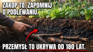 Drewno + Węgiel + Miedź = Ogród, Który Nawadnia Się Sam i Nigdy Nie Potrzebuje Nawozu