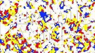 CERAMIC ANIMAL - Mistakes