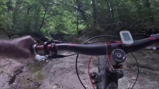 From trail above Walnut Pond down Oka Run through Oka Run Creek Crossing and ending at the start of Pahoka Adventure Trail.