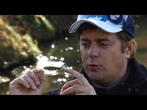 Natural Shad Silver (JS-239#612T)