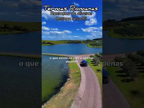 TERMAS ROMANAS plantação de oliveiras em Restinga Seca-RS na Região Central Gaúcha #termasromanas