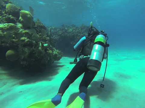 Scuba Diving In Jamaica. Dive 4 Gilbert Reef, Jewel Resort Runaway Bay