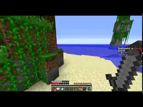 Minecraft Hunger Games #3 - First Win!