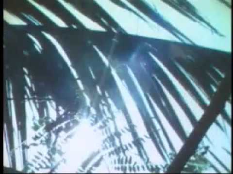 Devin Kamin - In Search Of Bears