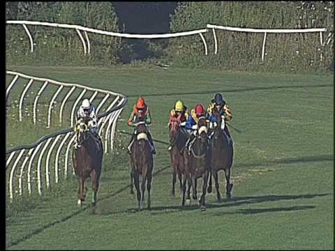 Galoppo 29/07/2016 - 1° corsa