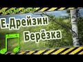 Евгений Дрейзин - "Берёзка" by Virtuozila 