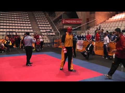 05.11.10 WM-ISKA Halbfinale Frank Schneider vs England 2.Runde I  Alicante