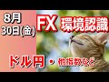 【taka fx】月末のリバランス注意ですよ～　ドル円他各通貨の環境認識解説。各種指数、goldなど　8月30日 金