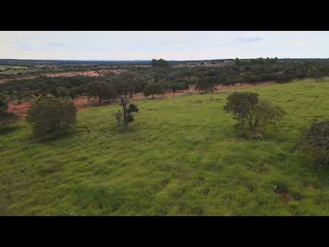Fazenda 49ha - Paineiras MG