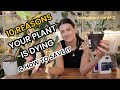10 REASONS Your Plant Is DYING & How To SAVE Your Plant - Houseplant Care 101 - Indoor Plant Care