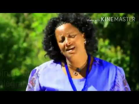 Meseret Belete---Fikir Befereka --- መሰረት በለጠ -- ፍቅር በፈረቃ-- Ethiopian Music