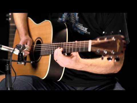 Guitare acoustique Eagletone - CD20S