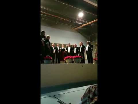 Jodlerklub Edelweiss Erlenbach Eidgen.Jodlerfest Brig 2017