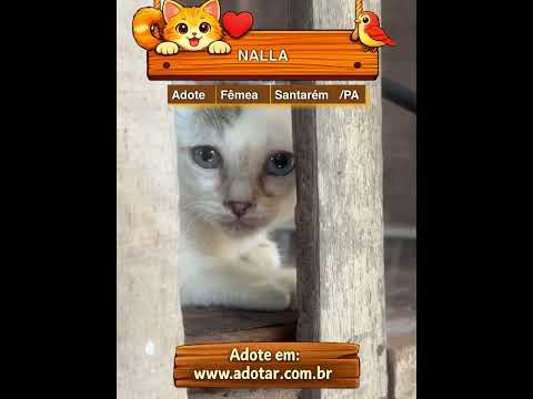 Vídeo de NALLA