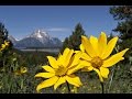 Peaceful Music, Relaxing Music, Nature Music "National Parks" by Tim Janis
