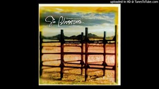 Gin Blossoms - Hey Jealousy [HQ Áudio 320kbps]